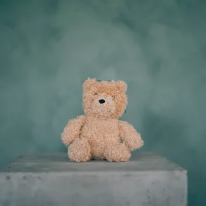 Björnen