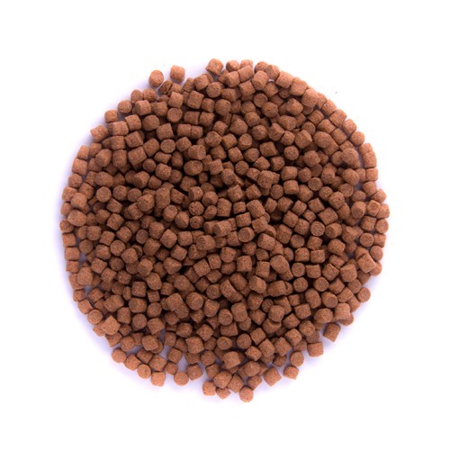 Orange / Color EF – Färg/tillväxtfoder 6mm – 5kg