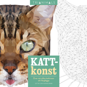 Bok – Kattkonst