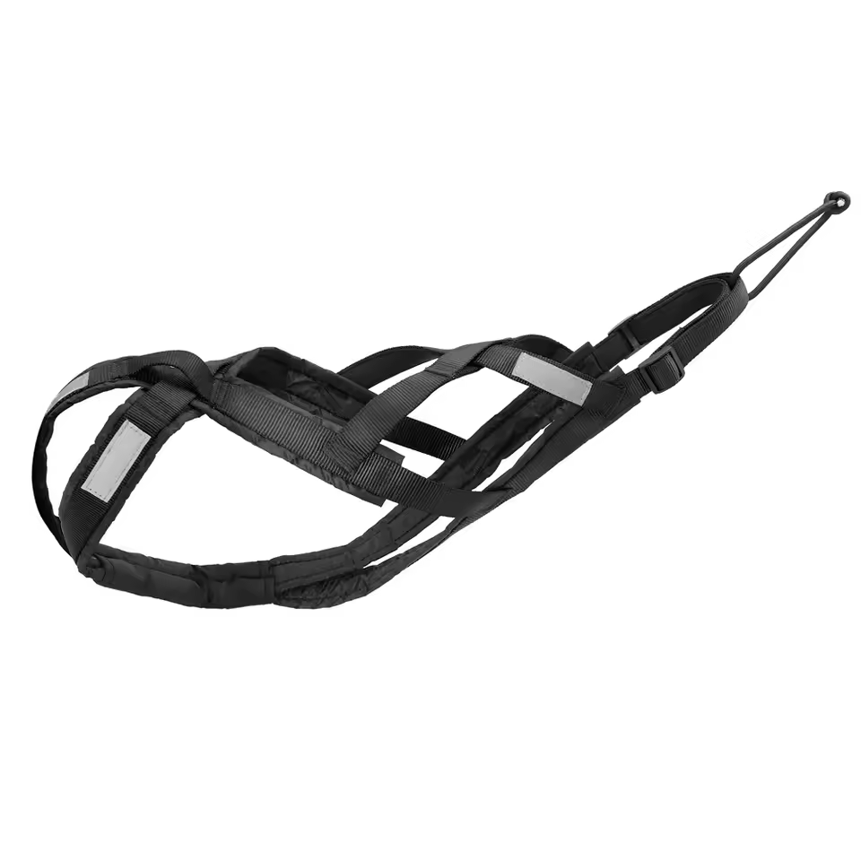 Dragsele hund – Active | Robusta hundselar i nylon, justerbar X-back design för medel & stora hundar